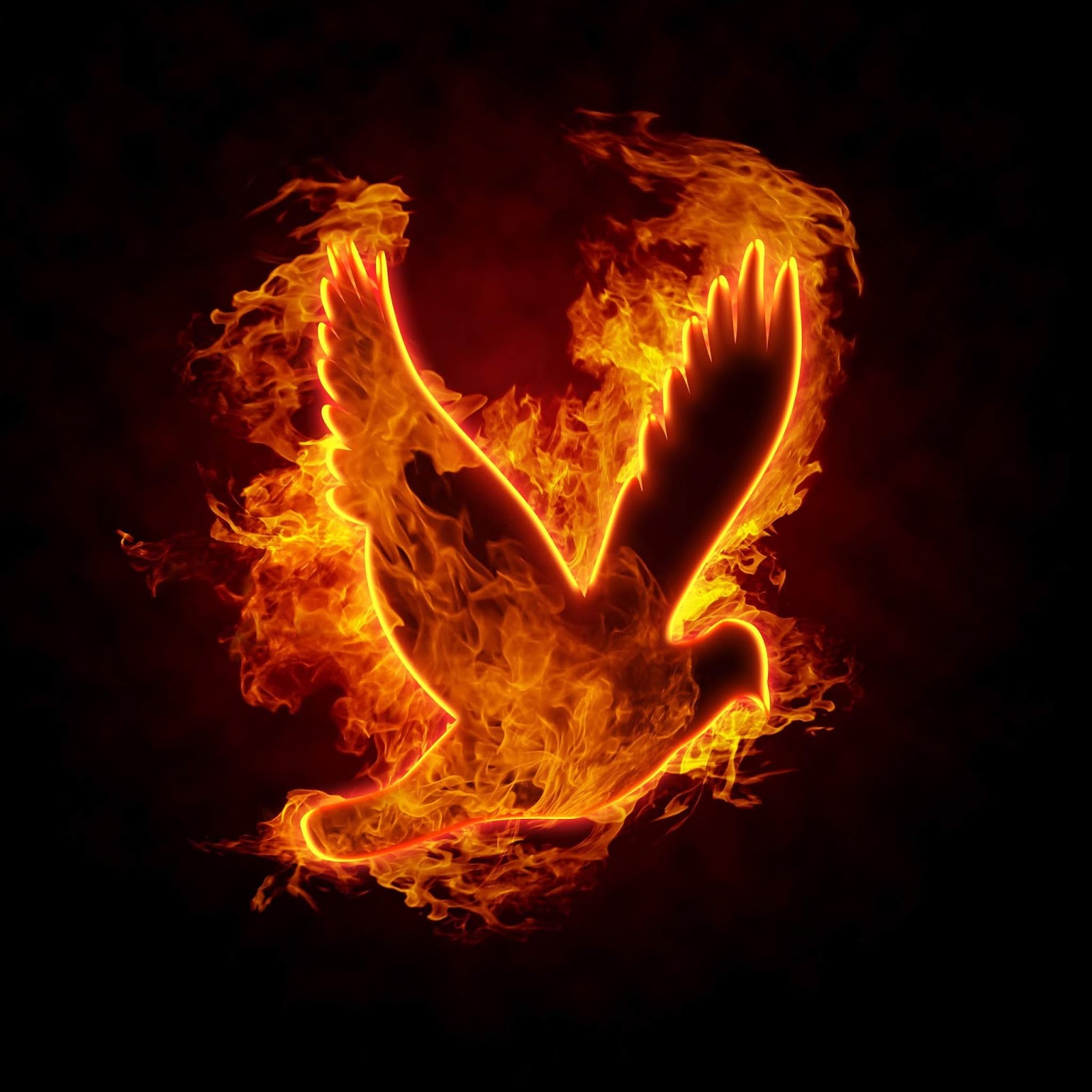 Pentecostes e o Fogo de Deus – A OLIVEIRA NATURAL